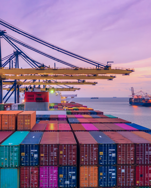 Sizin İçin En Uygun<br> Rotayı Kullanıyoruz